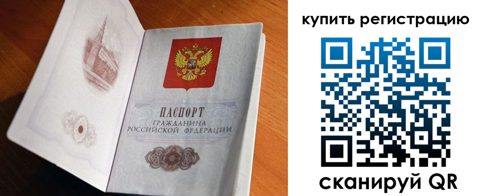 прописка законно в Светлограде