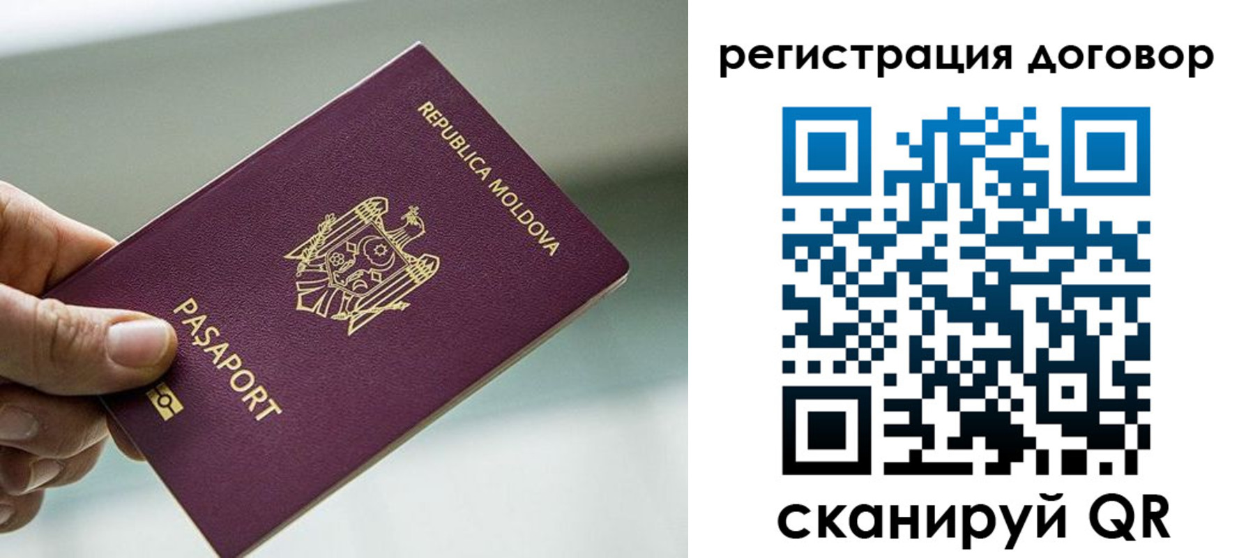 прописка в квартире в Светлограде